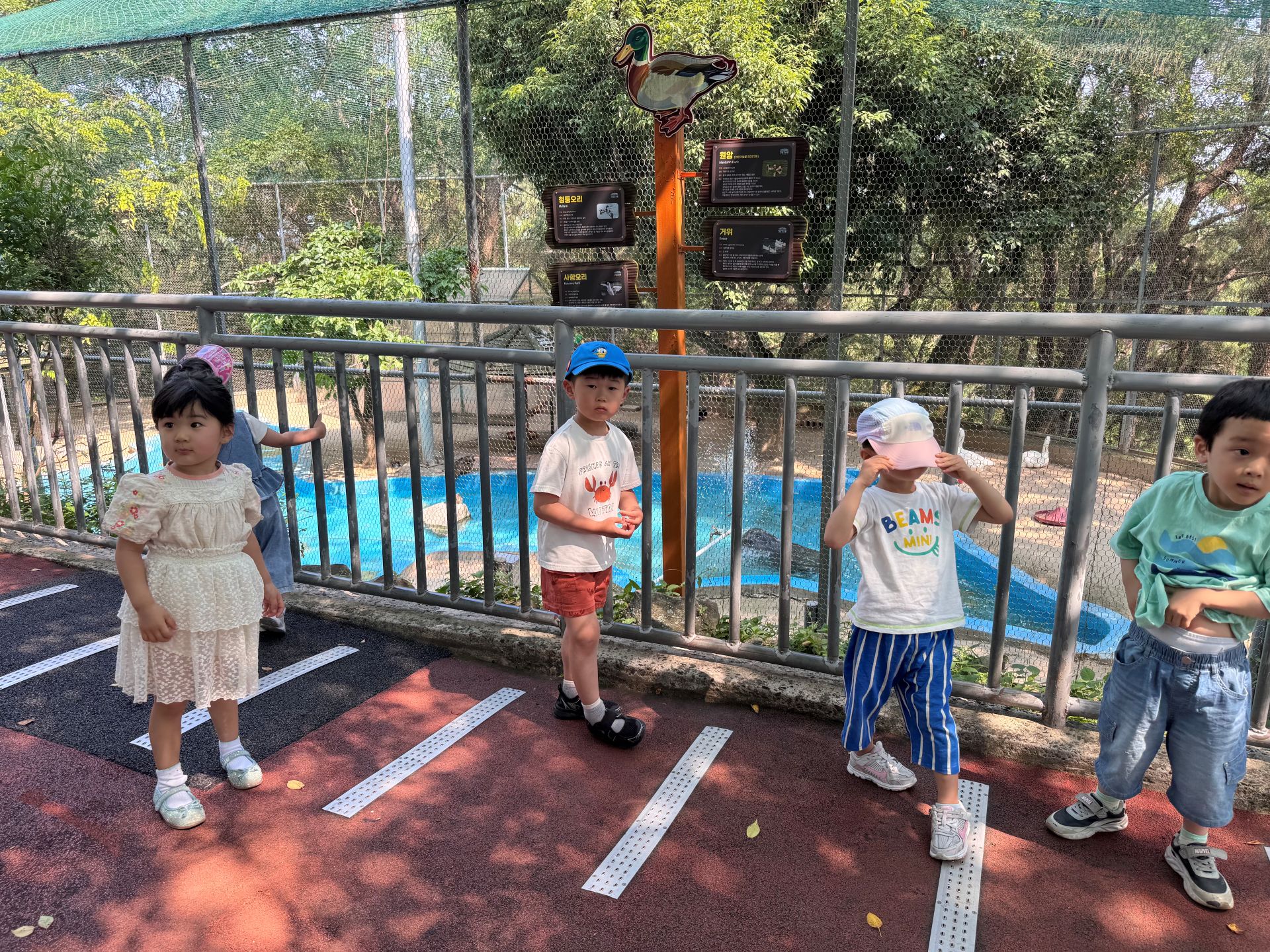 KakaoTalk_20260613_160623374.jpg
