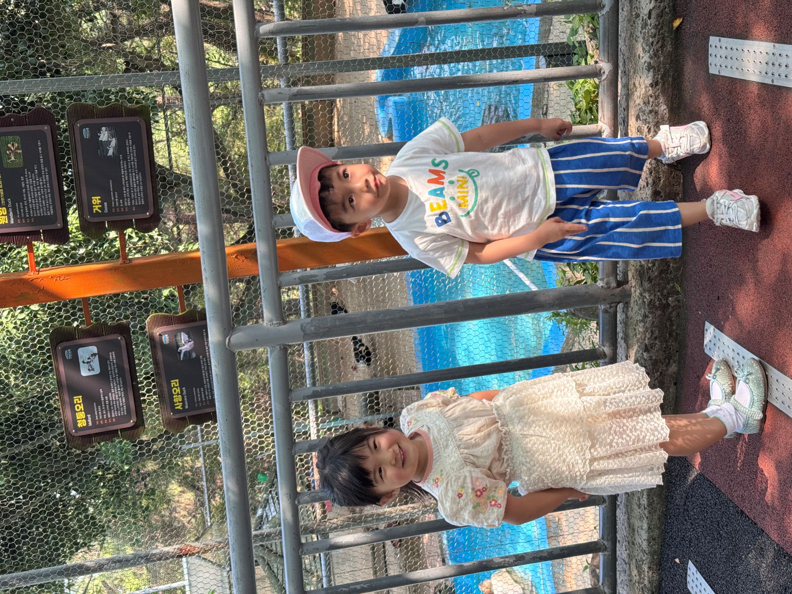 KakaoTalk_20260613_160424533_24.jpg